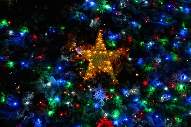Solar Powered Christmas Tree Lights Up Brisbane