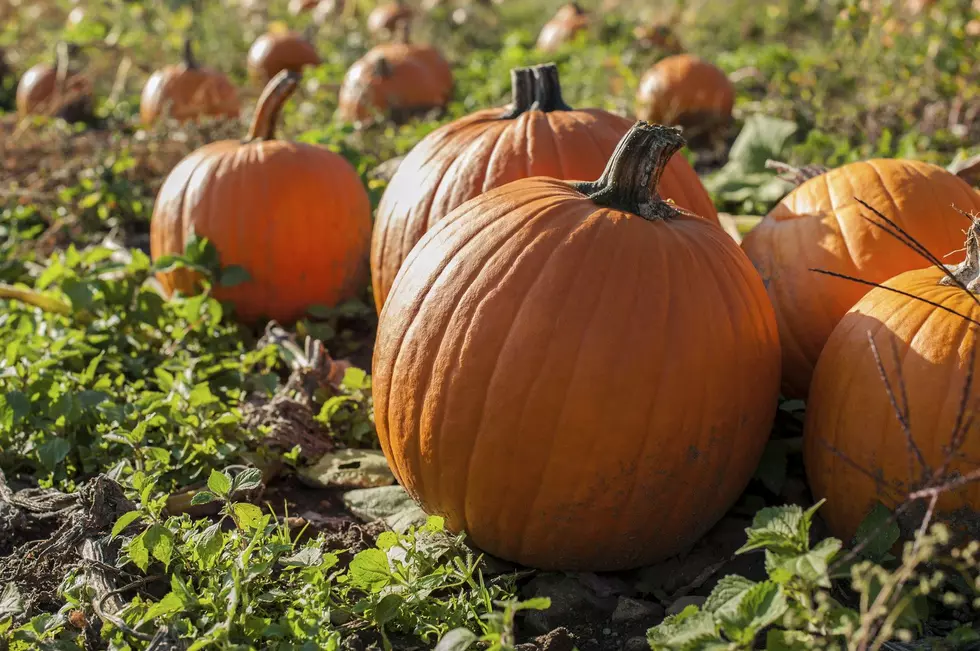 The Top 8 Signs It’s Fall Here in Northwest Louisiana