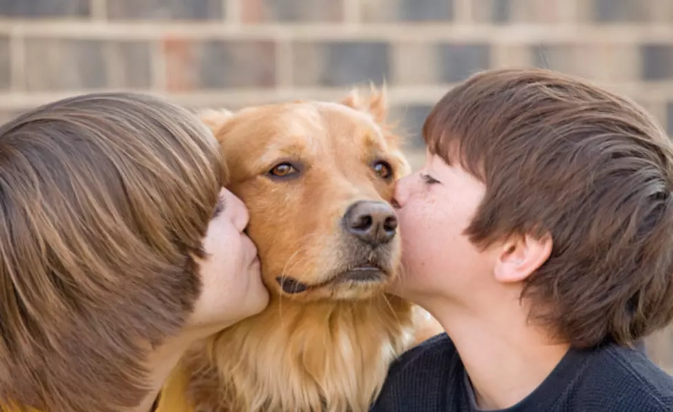 Herby K’s to Host Block Party, Benefit for Petsavers This Sunday