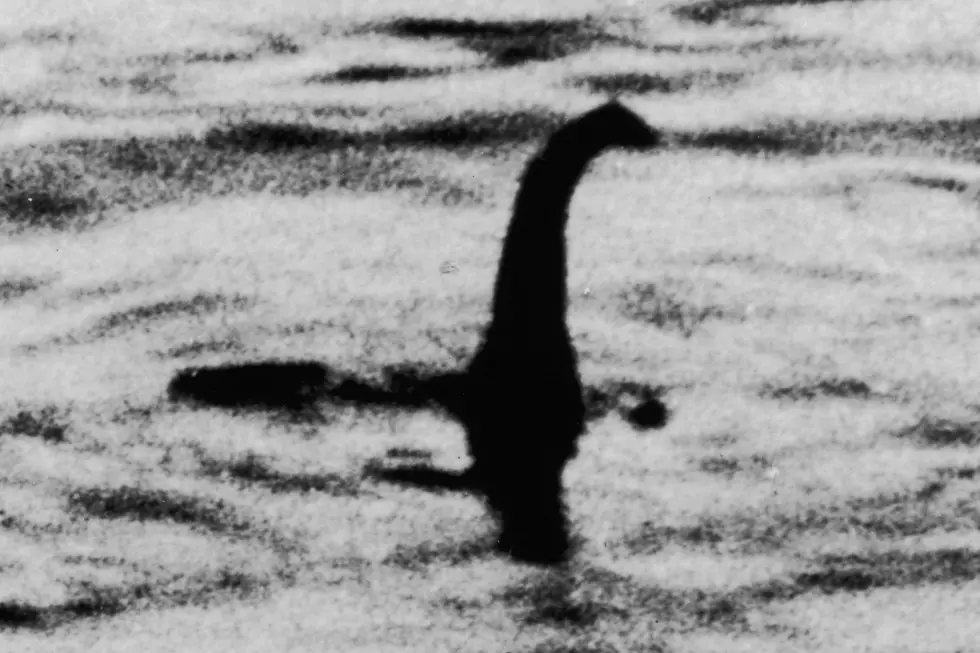 Is This ‘Proof’ the Loch Ness Monster Exists?