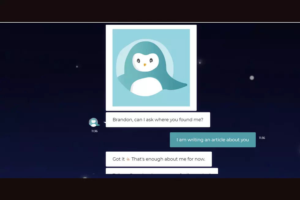 Screenshot - wysa.io