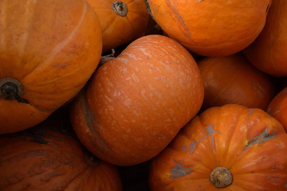 This Year’s Autumn at the Arboretum Theme is Charlie Brown