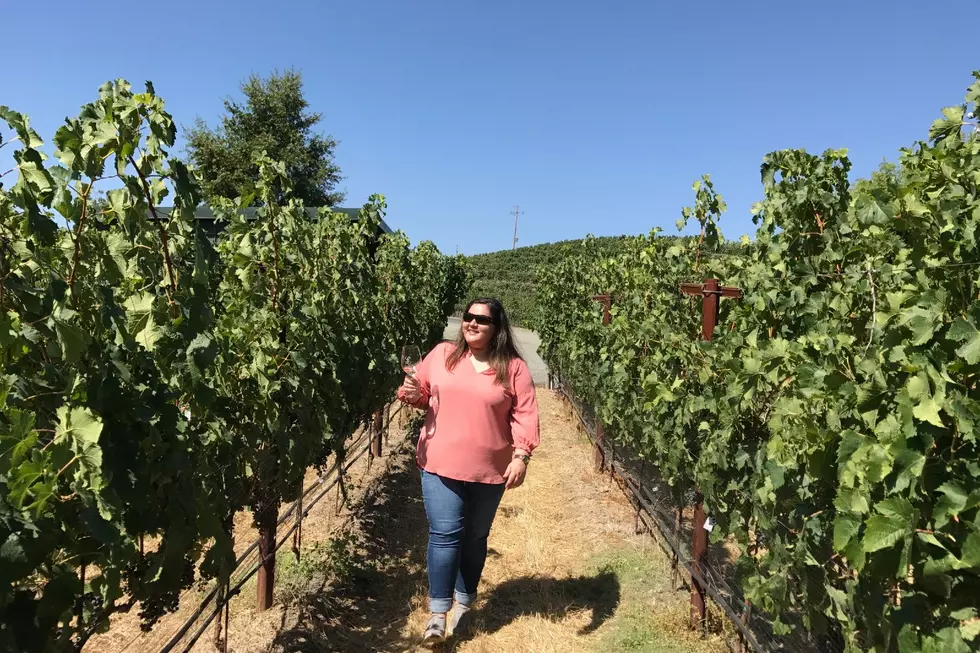Get Paid $120k to Move to Wine Country for a Year