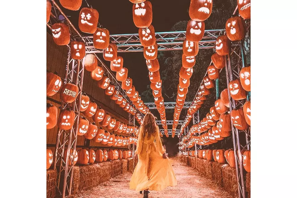 Two Texas Cities Bring in Over 5,000 Pumpkins For Epic Experience