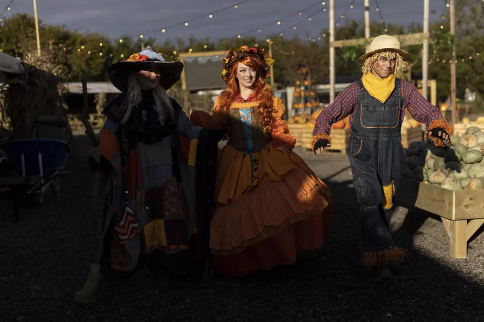 Love Halloween? LSU Shreveport To Offer Trunk Or Treat