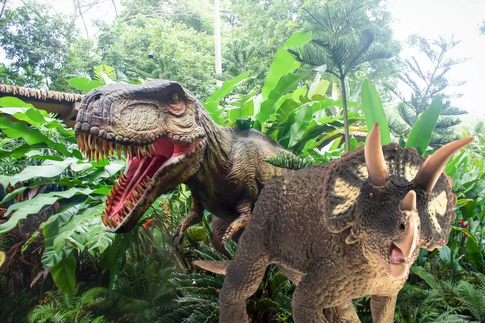 Dino Lovers Excited for Epic Dinosaur Show in Shreveport