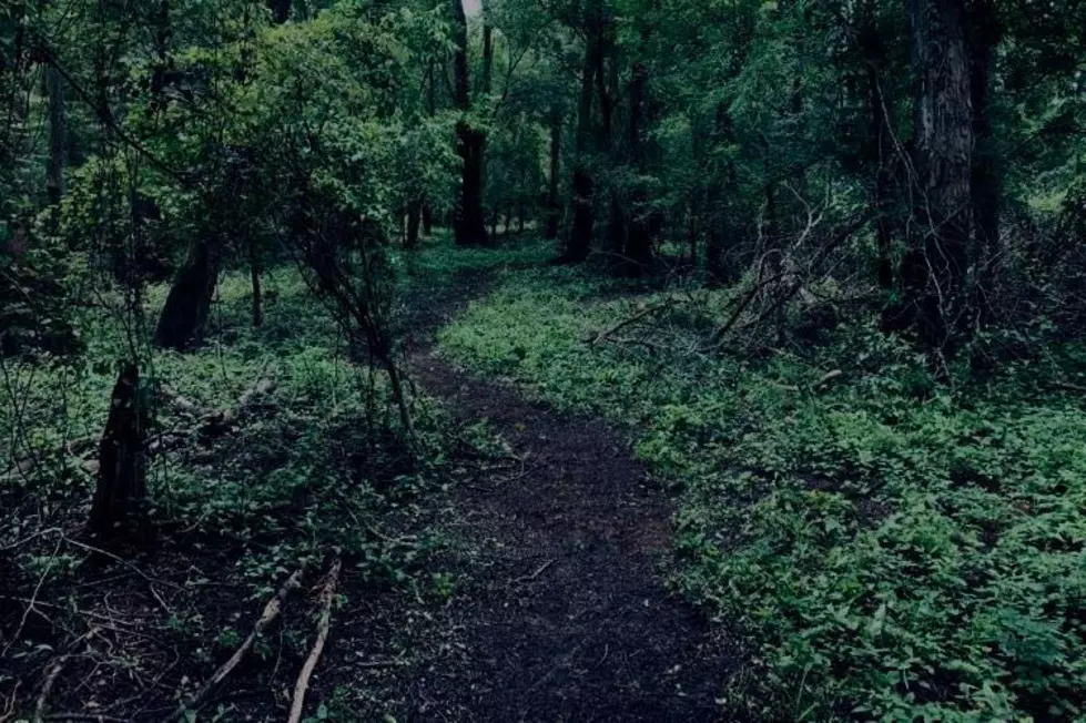 ‘Atchafalaya Nightmares’ Haunted Swamp Tour Coming to the Basin in October