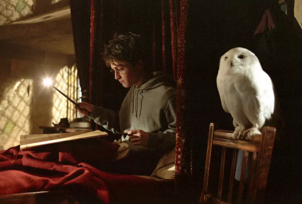 Explore Harry Potter’s ‘History of Magic’ Online For Free!